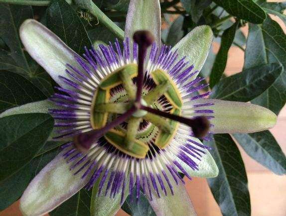 ֻ֩жһͼƬ ʵܶ˰ֻ