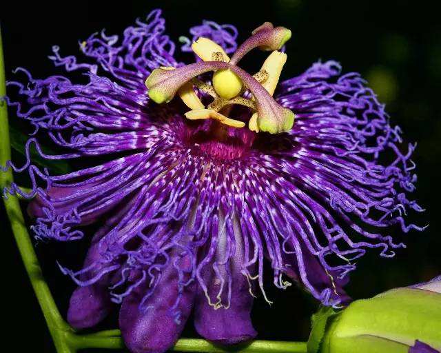 ֻ֩жһͼƬ ʵܶ˰ֻ