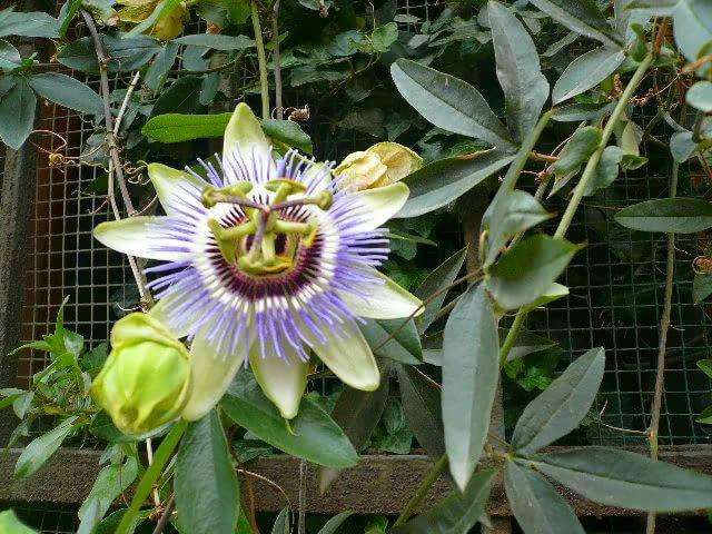 ֻ֩жһͼƬ ʵܶ˰ֻ