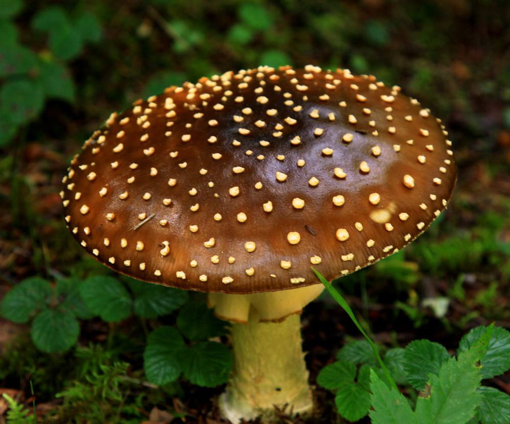 ˾綾Ģ׶ɡϾû?׶ɡʲô֢