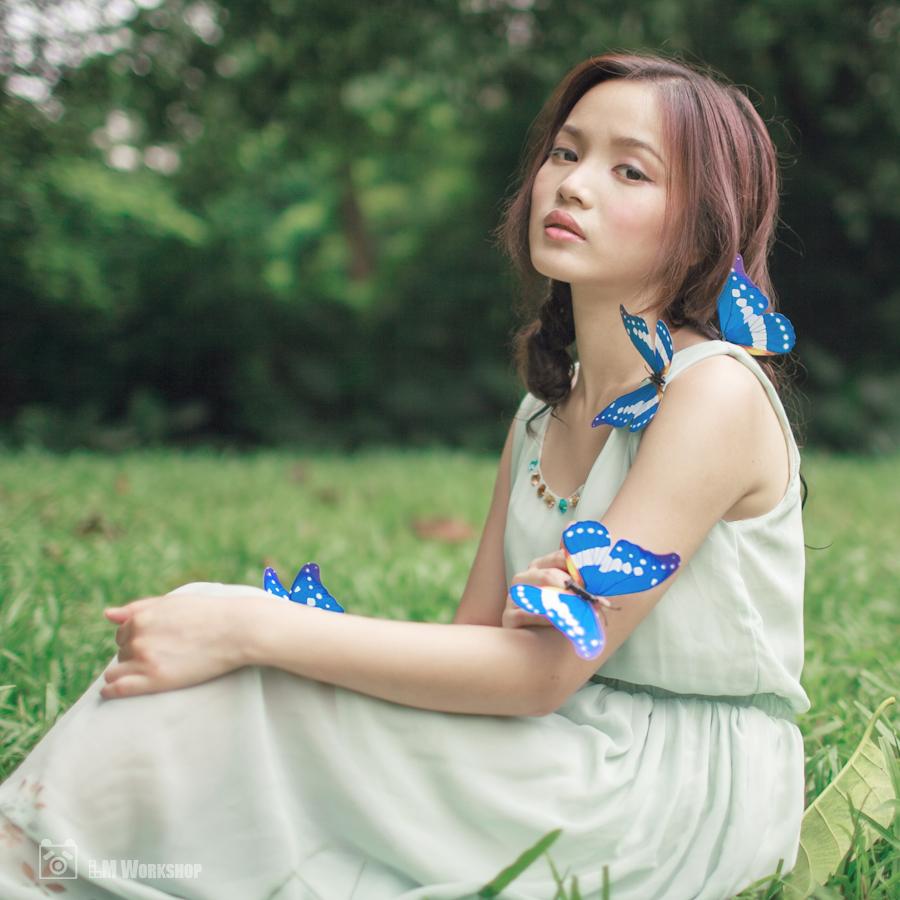 全世界最美的蝴蝶光明女神蝶图片大全 现状还剩几只多少钱能买到