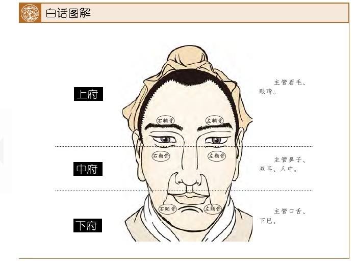 “耳大有福”“眼斜心不正”竟有这样的科学道理,看完你没法反驳