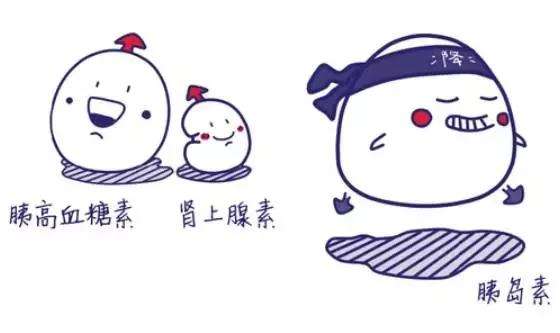 为什么“饿过劲”之后就不饿了?明明很饿但忍一会儿就不觉得饿了