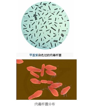 世界上最毒的物质最新排行榜,有些东西居然离我们的生活那么近!