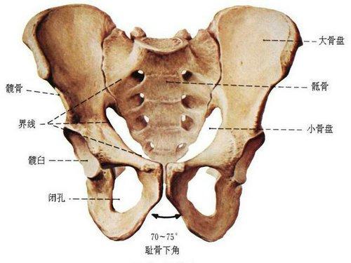 人类身体十大天生缺陷有人能幸免吗?原来我们的抗击打能力弱爆了