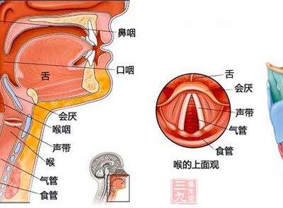 人类身体十大天生缺陷有人能幸免吗?原来我们的抗击打能力弱爆了