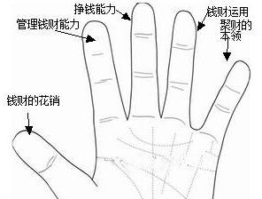 手指长度竟决定着人的兴趣爱好要怎么看?人的手指一样长会怎么样