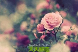 如何放下深爱的人呢 刻意去放下其实是对自己的一种残忍