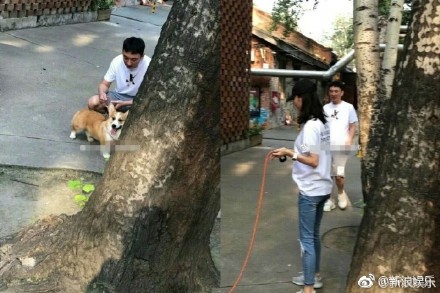陈雅婷是王思聪女友吗怎么认识的绯闻?陈雅婷是哪个经纪公司的