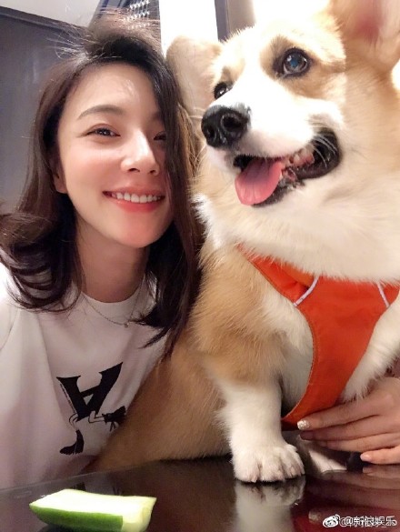 陈雅婷是王思聪女友吗怎么认识的绯闻?陈雅婷是哪个经纪公司的