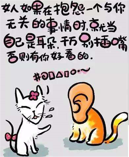 笑喷了精辟的句子 笑死人歪理短句 特别欠揍幽默的句子