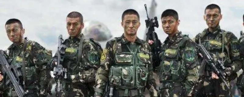 吴京演的特种兵何晨光是什么电视剧