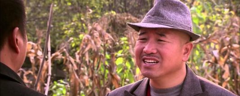 乡村爱情赵四从南方回来是第几部